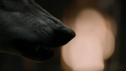 extant_GameOfThrones_2x01-TheNorthRemembers_3622