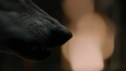 extant_GameOfThrones_2x01-TheNorthRemembers_3623