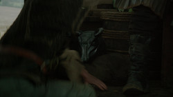 extant_GameOfThrones_2x01-TheNorthRemembers_5381