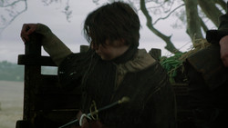 extant_GameOfThrones_2x01-TheNorthRemembers_5384