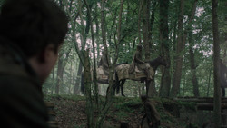 extant_GameOfThrones_2x02-TheNightLands_0211