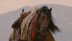 extant_GameOfThrones_2x02-TheNightLands_1484