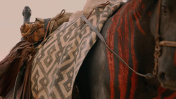 extant_GameOfThrones_2x02-TheNightLands_1492