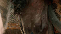 extant_GameOfThrones_2x02-TheNightLands_1510