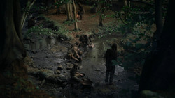 extant_GameOfThrones_2x02-TheNightLands_2866