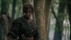 extant_GameOfThrones_2x02-TheNightLands_3114