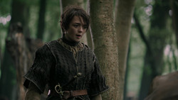 extant_GameOfThrones_2x02-TheNightLands_3142