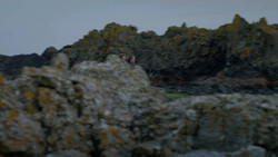 extant_GameOfThrones_2x02-TheNightLands_3493