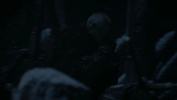 extant_GameOfThrones_2x02-TheNightLands_5289