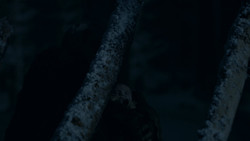extant_GameOfThrones_2x02-TheNightLands_5295