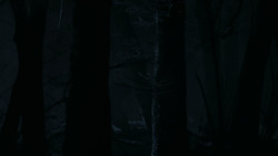 extant_GameOfThrones_2x02-TheNightLands_5481