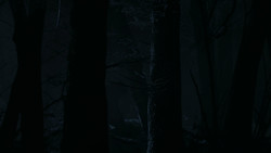 extant_GameOfThrones_2x02-TheNightLands_5482