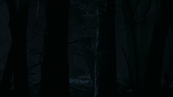 extant_GameOfThrones_2x02-TheNightLands_5483