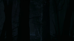 extant_GameOfThrones_2x02-TheNightLands_5491