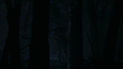 extant_GameOfThrones_2x02-TheNightLands_5492