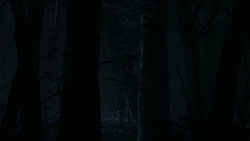 extant_GameOfThrones_2x02-TheNightLands_5493
