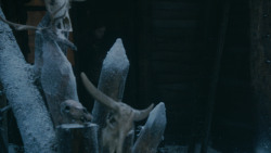 extant_GameOfThrones_2x03-WhatIsDeadMayNeverDie_0288