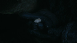 extant_GameOfThrones_2x03-WhatIsDeadMayNeverDie_0342