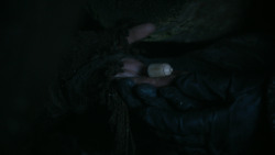 extant_GameOfThrones_2x03-WhatIsDeadMayNeverDie_0419