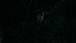 extant_GameOfThrones_2x03-WhatIsDeadMayNeverDie_5021