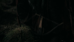 extant_GameOfThrones_2x03-WhatIsDeadMayNeverDie_5072