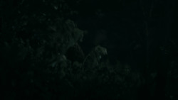 extant_GameOfThrones_2x03-WhatIsDeadMayNeverDie_5202