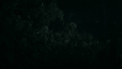 extant_GameOfThrones_2x03-WhatIsDeadMayNeverDie_5203