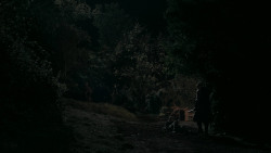 extant_GameOfThrones_2x03-WhatIsDeadMayNeverDie_5224