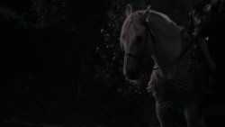 extant_GameOfThrones_2x03-WhatIsDeadMayNeverDie_5362