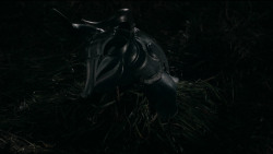 extant_GameOfThrones_2x03-WhatIsDeadMayNeverDie_5427