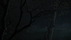 extant_GameOfThrones_2x04-GardenOfBones_0001