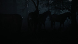 extant_GameOfThrones_2x04-GardenOfBones_0074