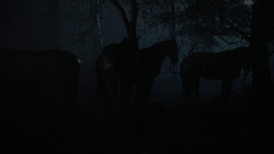 extant_GameOfThrones_2x04-GardenOfBones_0075