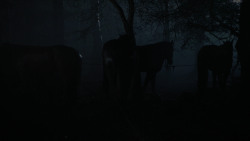 extant_GameOfThrones_2x04-GardenOfBones_0077