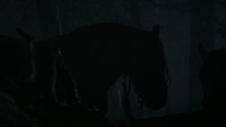extant_GameOfThrones_2x04-GardenOfBones_0085