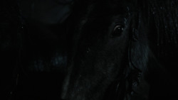 extant_GameOfThrones_2x04-GardenOfBones_0130