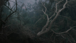 extant_GameOfThrones_2x04-GardenOfBones_0219