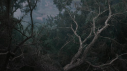extant_GameOfThrones_2x04-GardenOfBones_0220