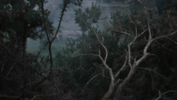 extant_GameOfThrones_2x04-GardenOfBones_0221