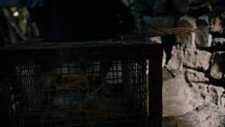 extant_GameOfThrones_2x04-GardenOfBones_2792