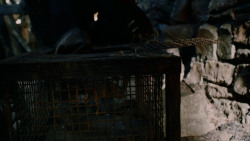 extant_GameOfThrones_2x04-GardenOfBones_2793