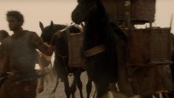 extant_GameOfThrones_2x04-GardenOfBones_3852