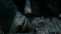 extant_GameOfThrones_2x04-GardenOfBones_3959