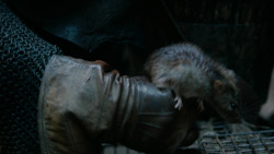 extant_GameOfThrones_2x04-GardenOfBones_3960