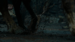 extant_GameOfThrones_2x04-GardenOfBones_3975