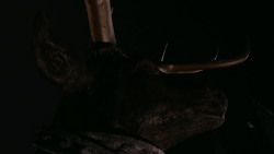 extant_GameOfThrones_2x04-GardenOfBones_4580