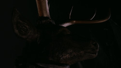 extant_GameOfThrones_2x04-GardenOfBones_4582