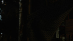 extant_GameOfThrones_2x05-TheGhostOfHarrenhal_0014