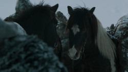 extant_GameOfThrones_2x05-TheGhostOfHarrenhal_2679