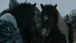 extant_GameOfThrones_2x05-TheGhostOfHarrenhal_2680